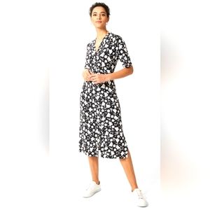 NWT Hobbs London  Aliza Dress 6